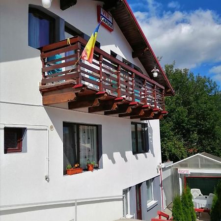 Vila Darian Villa Szászbuda Kültér fotó
