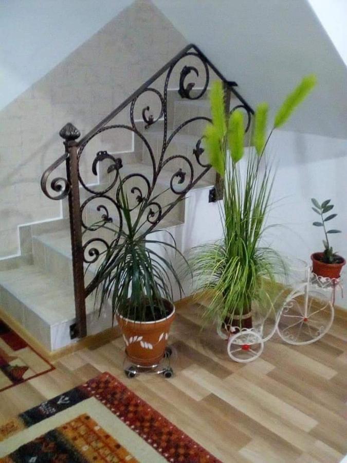 Vila Darian Villa Szászbuda Kültér fotó
