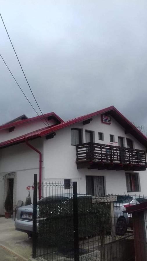 Vila Darian Villa Szászbuda Kültér fotó