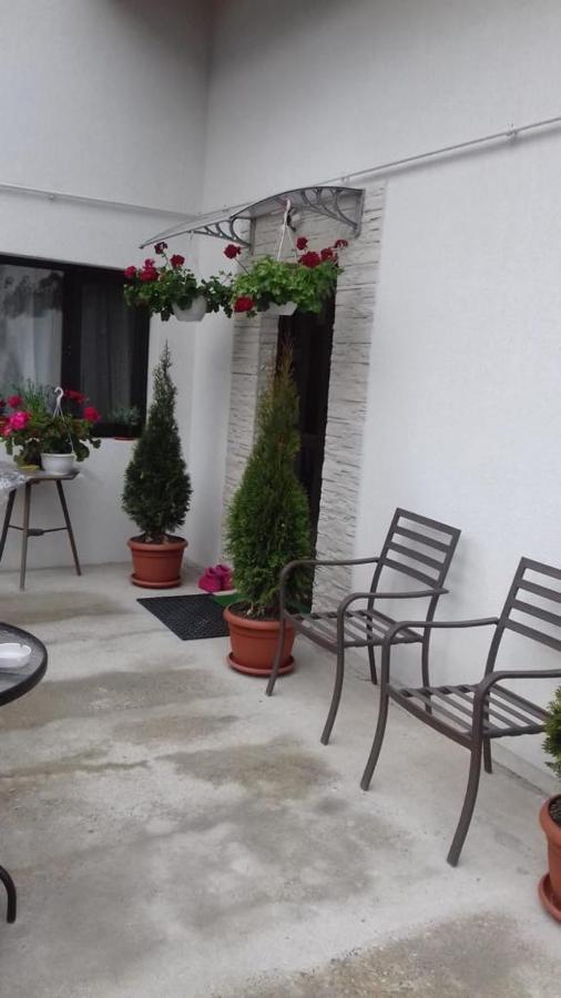 Vila Darian Villa Szászbuda Kültér fotó