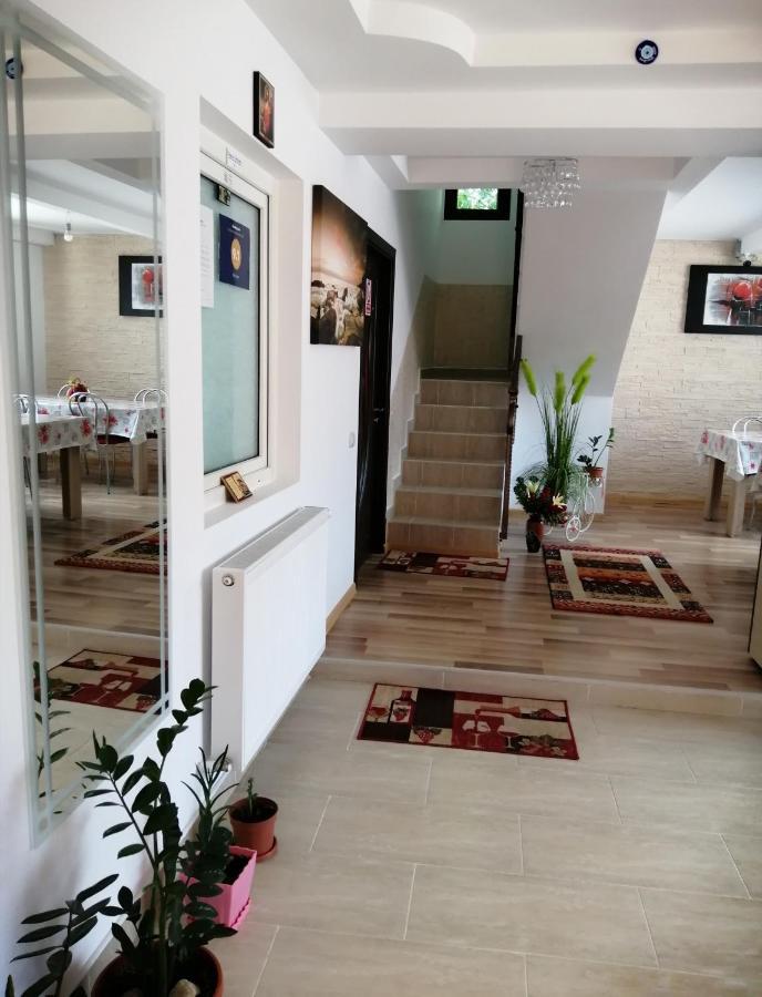 Vila Darian Villa Szászbuda Kültér fotó