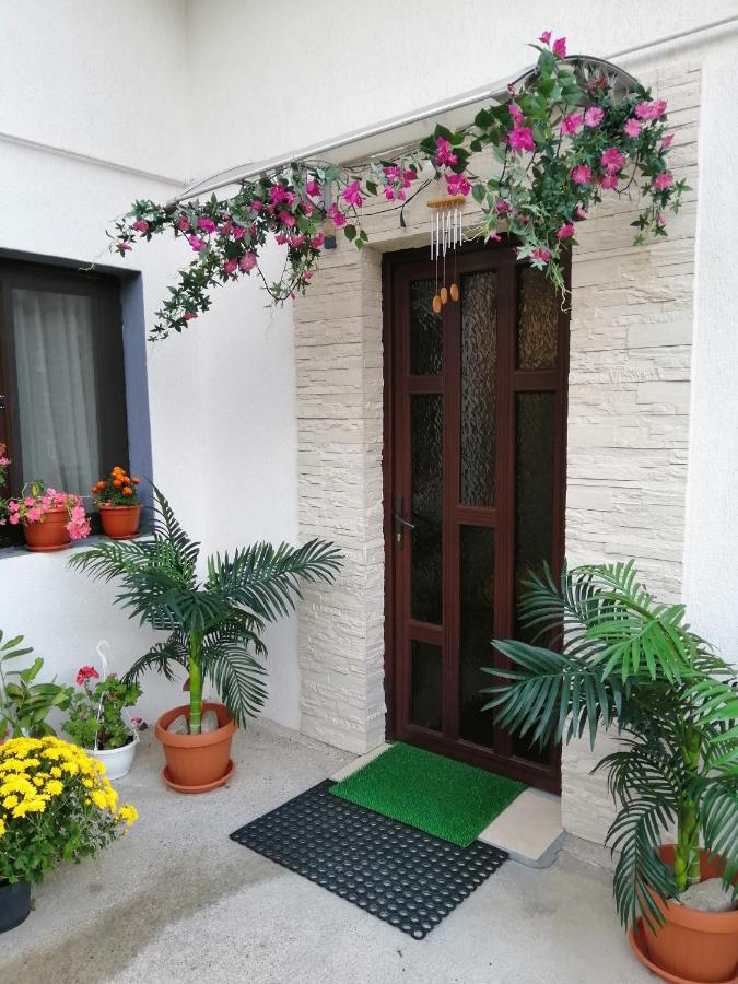 Vila Darian Villa Szászbuda Kültér fotó