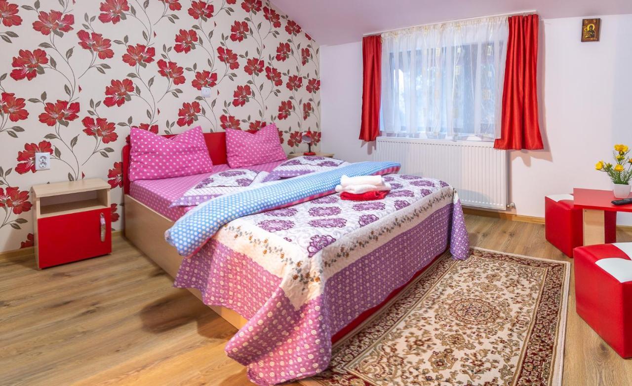 Vila Darian Villa Szászbuda Kültér fotó